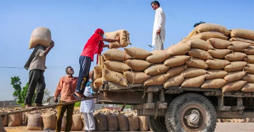 One Nation One Ration Card: Centre launches 'Mera Ration' app to help migrant workers get subsidised foodgrains - Vimarsana News