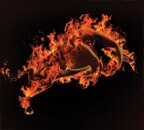 Warning Signals- Business News - Vimarsana News