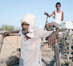 The more (crops), the merrier: Shri Kishan (left) with his son