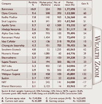 Safe wealth portfolio