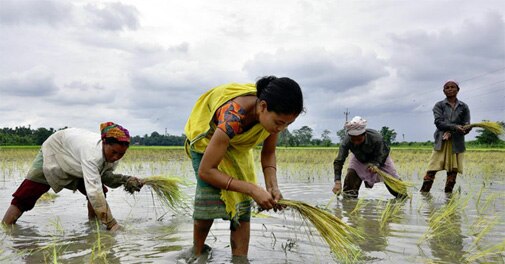 Rainfall likely in several parts of the country this month, says IMD - Vimarsana News