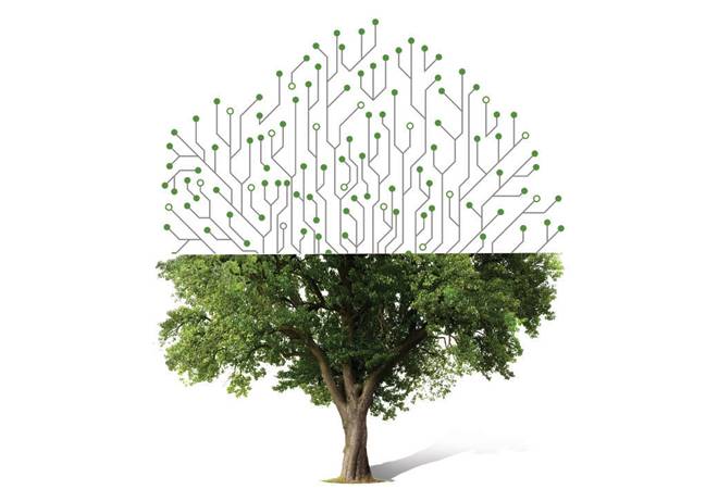 Long Way To Go Business News