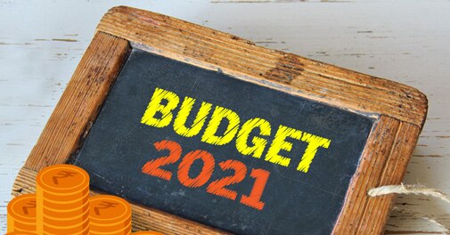 Budget 2021: Will govt use EPFO to ease burden on salaried class? - Vimarsana News