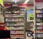 'Kong vs Monitor coming next', say netizens as giant monitor lizard ransacks supermarket - Vimarsana News
