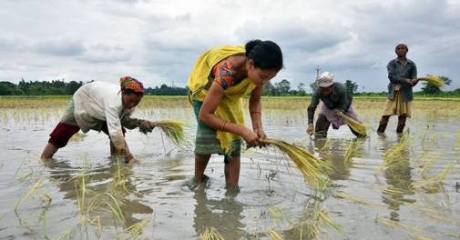 All India Kisan Sabha floats alternate model farm law for states - Vimarsana News