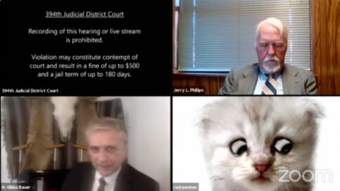 US lawyer turns up for court proceedings on Zoom with cat filter on, judge calls it profession's dedication - Vimarsana News