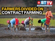 Farmers divided on contract farming due to rising labour, fertiliser prices