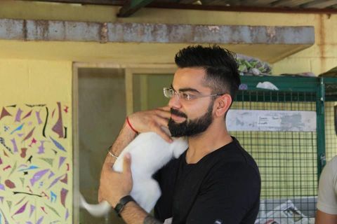 Anushka Sharma And Virat Kohli Share A Common Love Celebrity Cosmopolitan India 1,423,960 likes · 425,624 talking about this · 2,942 were here. cosmopolitan india