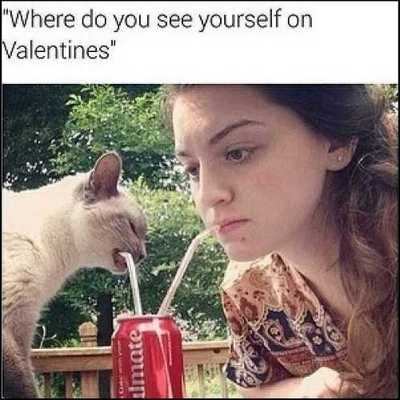 No Bae No Problem Lol With These Memes On Valentine S Instead So yeah, keep sending me those! no bae no problem lol with these