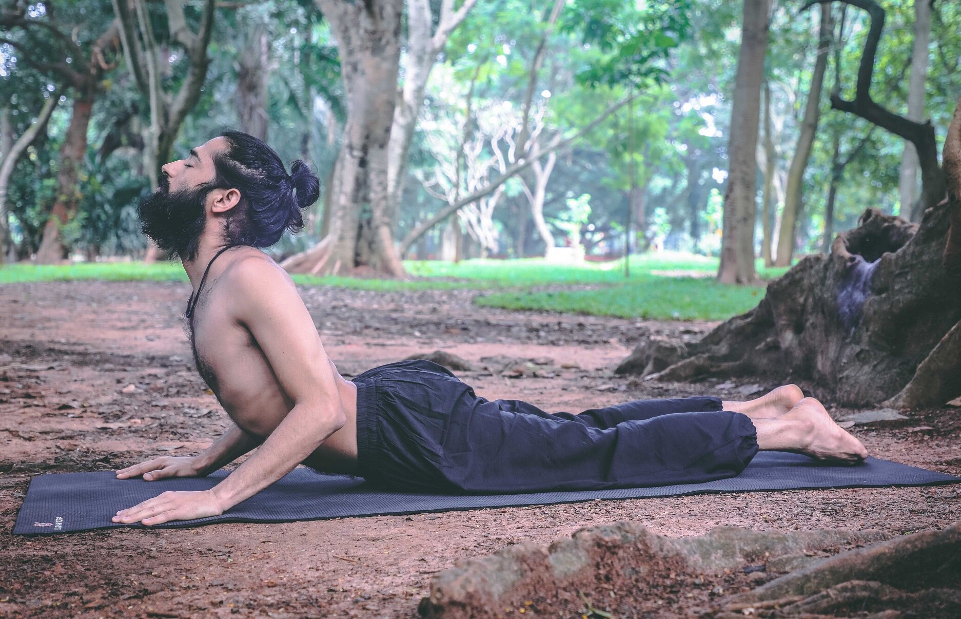 bhujangasana