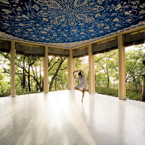 Photo: Ananda in the Himalayas