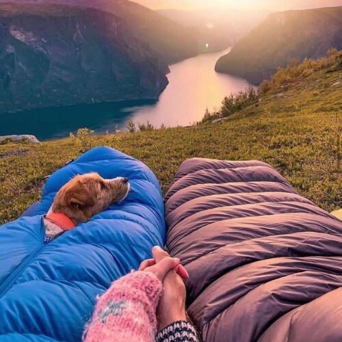 Camping