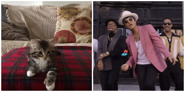 This Adorable Kitten Dancing To Uptown Funk Is The Best Thing On The Internet Today