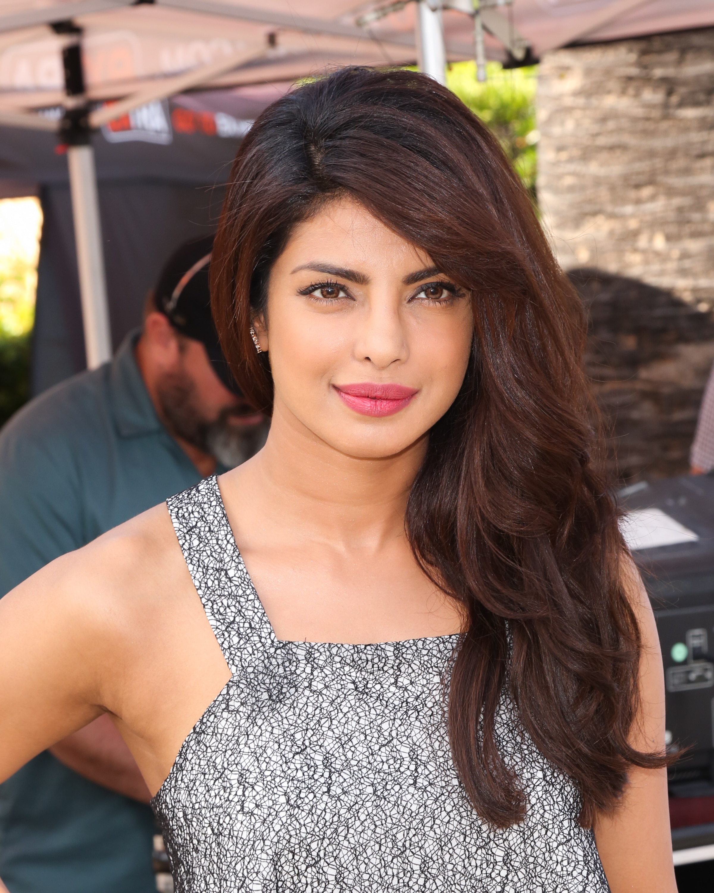 Priyanka Chopra Slams Haters With This Photo on the Armpit Controversy