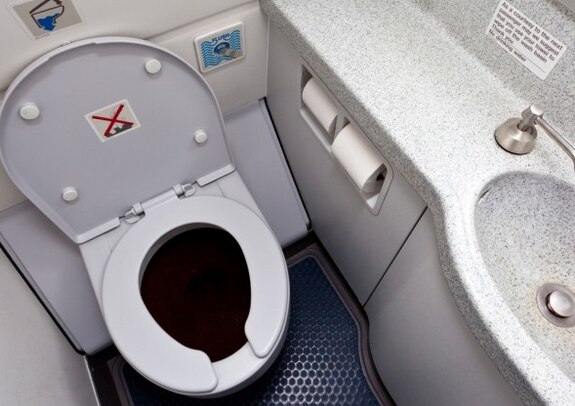 What Happens When You Flush The Toilet While Showering This is What Happens When You Flush Your Waste Down Aeroplane Toilets
