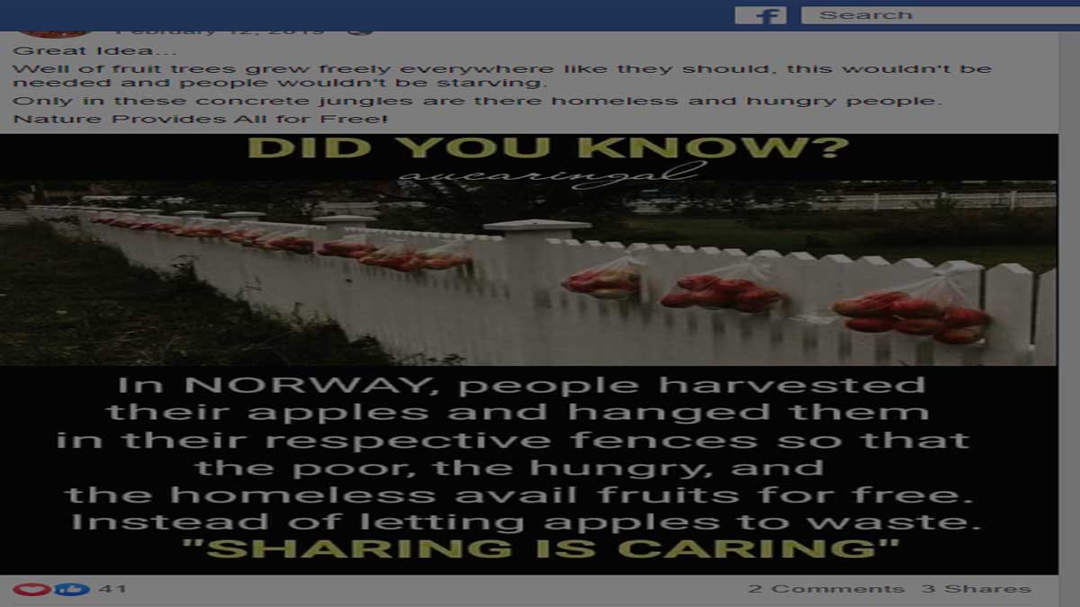 ফ্যাক্ট চেক: নরওয়েতে গরিব আর, সর্বহারাদের জন্য আপেল বিতরণ করছেন মানুষ?