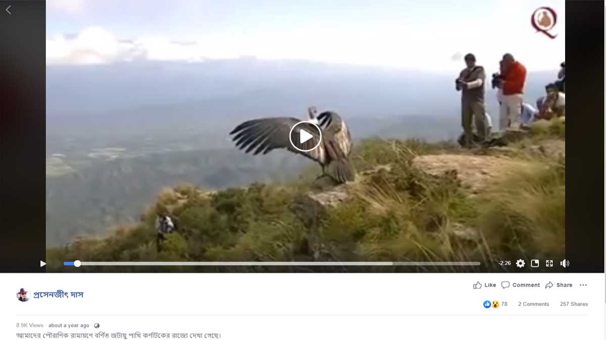 ফ্যাক্ট চেক: এটি কি রামায়ণের জটায়ু পাখি?