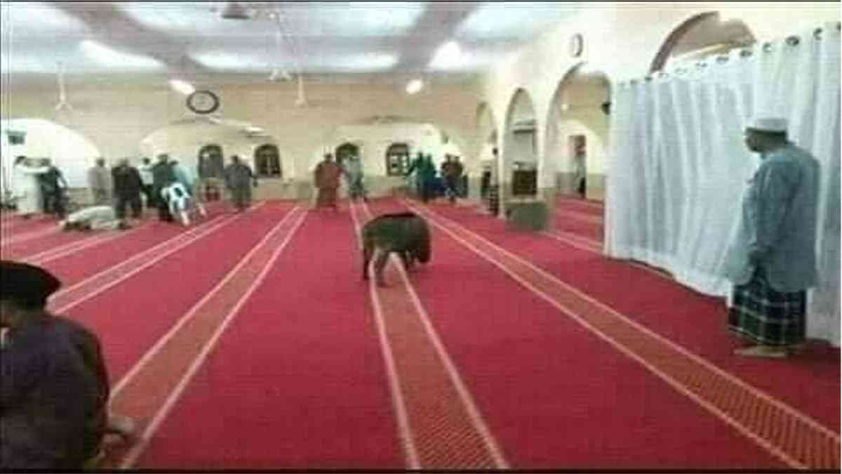 ফ্যাক্ট চেক: সাম্প্রদায়িকতার মোড়কে ভাইরাল মালয়েশিয়ার মসজিদের ঘটনা