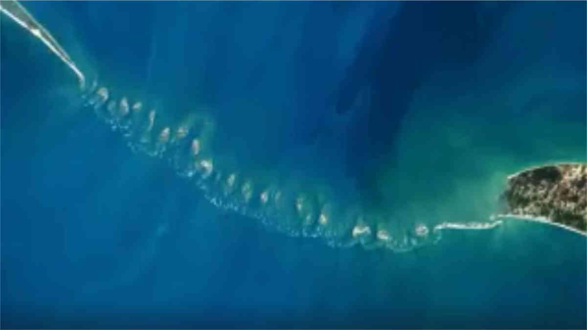 ফ্যাক্ট চেক্ট: 