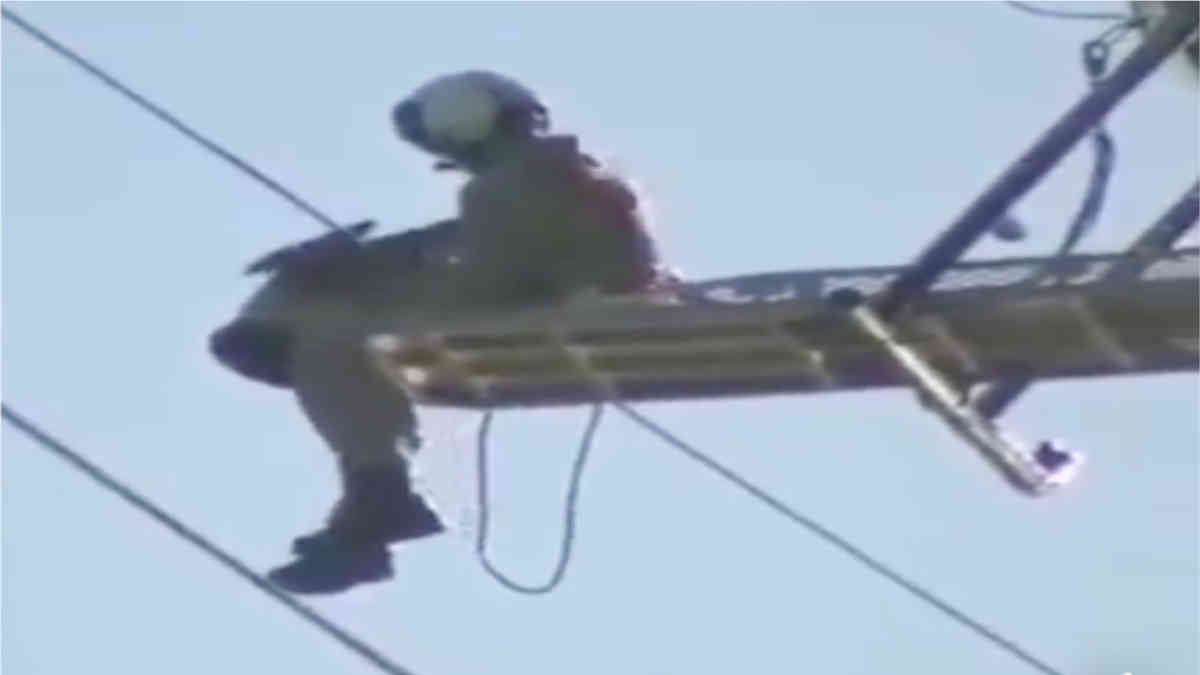 ফ্যাক্ট চেক: পাখি উদ্ধারের এই ভিডিওটি ভারতীয় বায়ুসেনার নয়