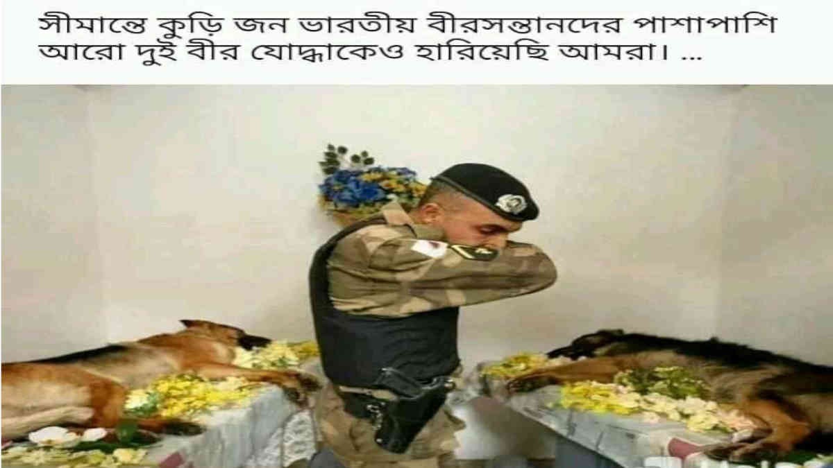 ফ্যাক্ট চেক: লাদাখের সংঘর্ষে শহীদ ২০ জন ভারতীয় সেনার সাথে এই কুকুর দুটিও কি প্রাণ হারায়?