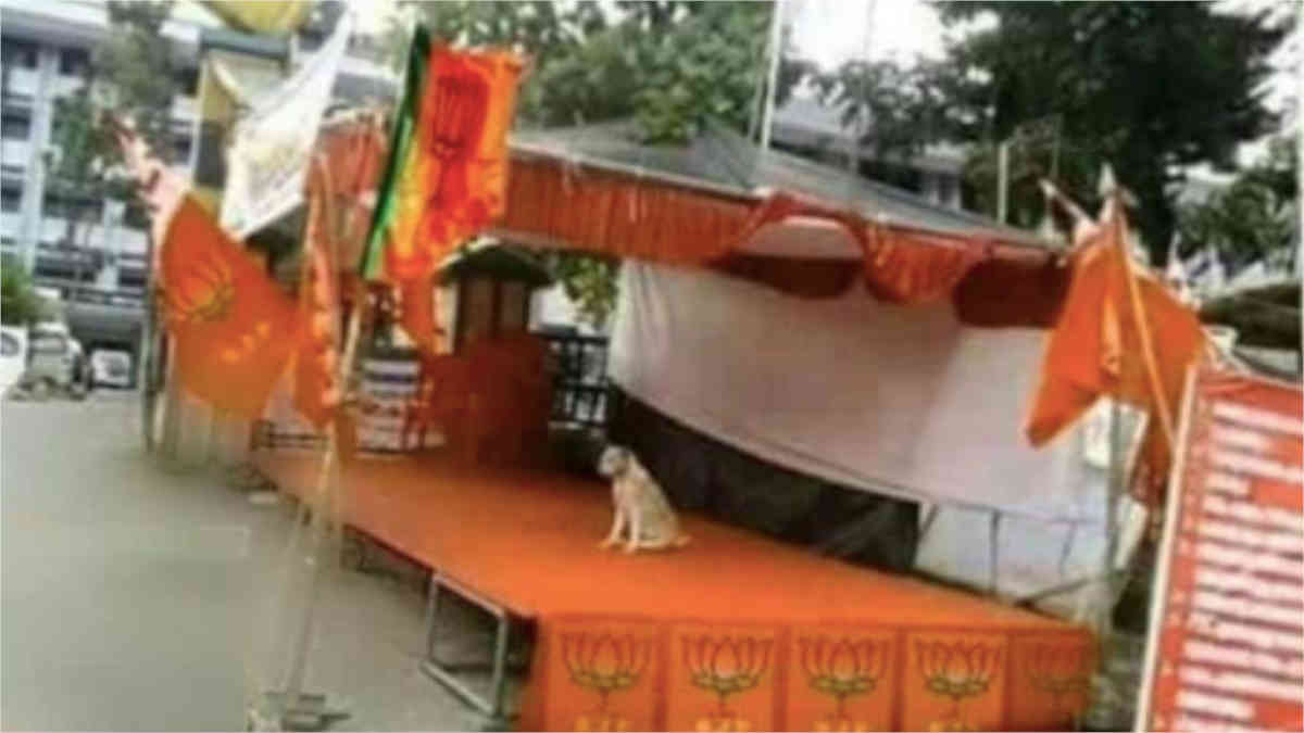 ফ্যাক্ট চেক: বিহার নির্বাচনের দাবী করে ভাইরাল এডিট করা ছবি