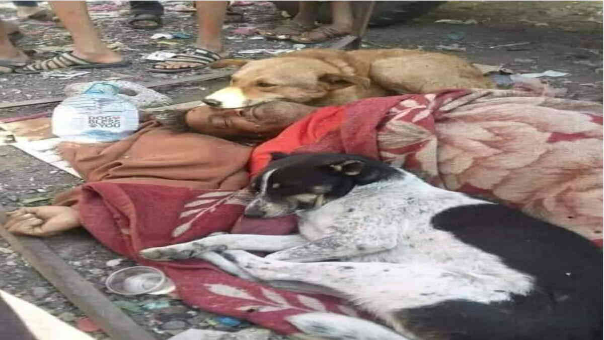 ফ্যাক্ট চেক: গুজরাটের দাবী করে ভাইরাল ইয়েমেনের মৃত ব্যক্তির ছবি