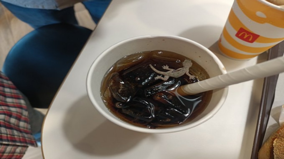 Man found a lizard in his McDonald's cola, and this is more common than you think