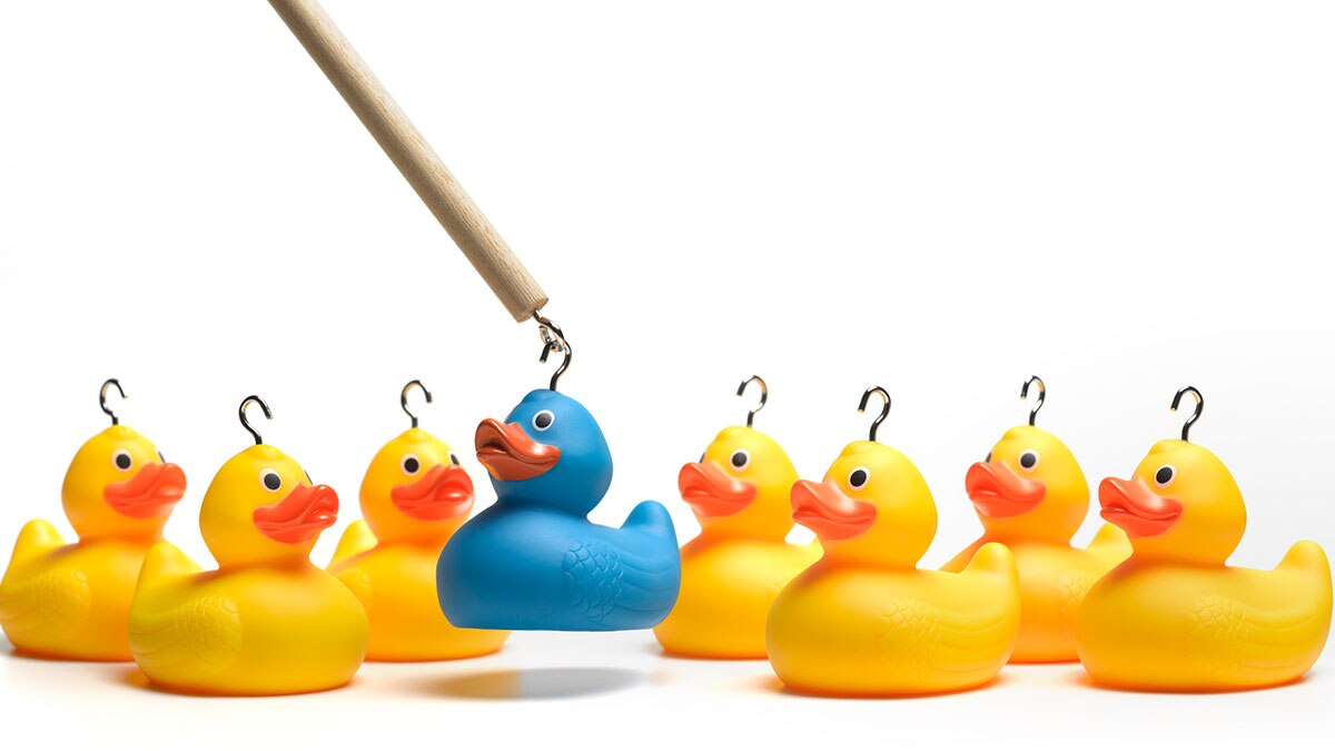 What is a rights issue of a share? Who is it given to?