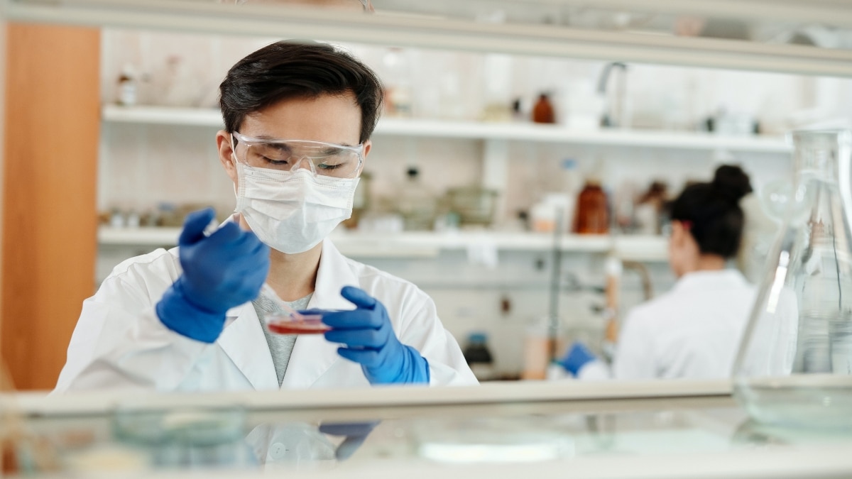 China confirms outbreak of new Langya virus, 35 people infected. Is this the next pandemic? China confirms outbreak of new Langya virus, 35 people infected. Is this the next pandemic?