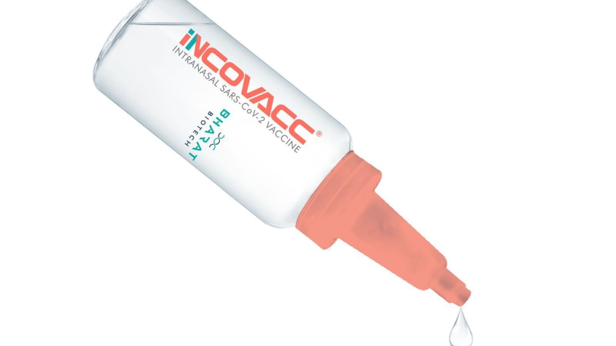 Bharat Biotech’s iNCOVACC approved: What you need to know about India’s first nasal Covid vaccine Bharat Biotech’s iNCOVACC approved: What you need to know about India’s first nasal Covid vaccine