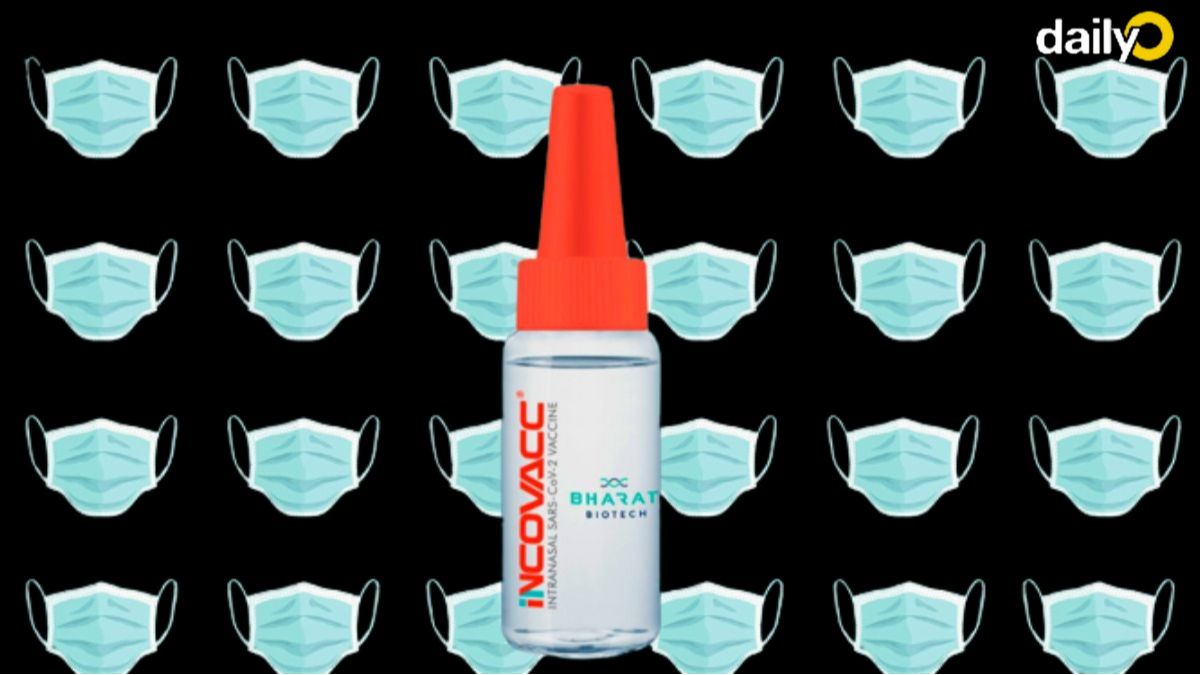 All your Incovacc nasal vaccine FAQs from price to dosage, answered by Bharat Biotech