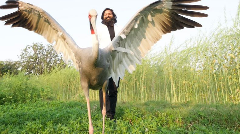 UP man-bird friendship: Arif Khan gets forest dept notice, Sarus crane shifted to Kanpur zoo UP man-bird friendship: Arif Khan gets forest dept notice, Sarus crane shifted to Kanpur zoo