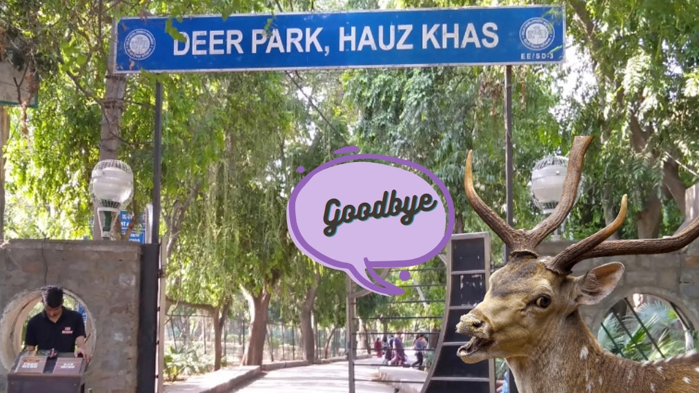 Why is Delhi Deer Park being shut down?