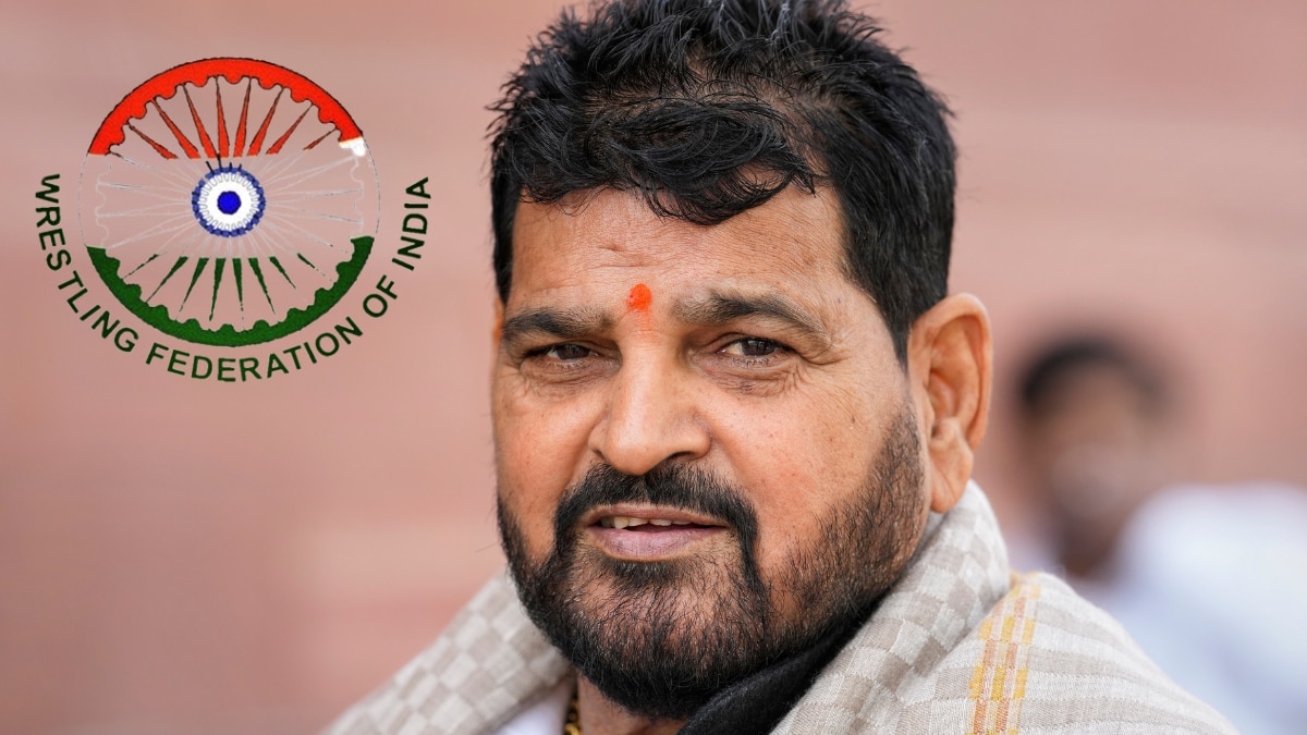 As world body suspends WFI, what does it mean for Indian wrestlers?