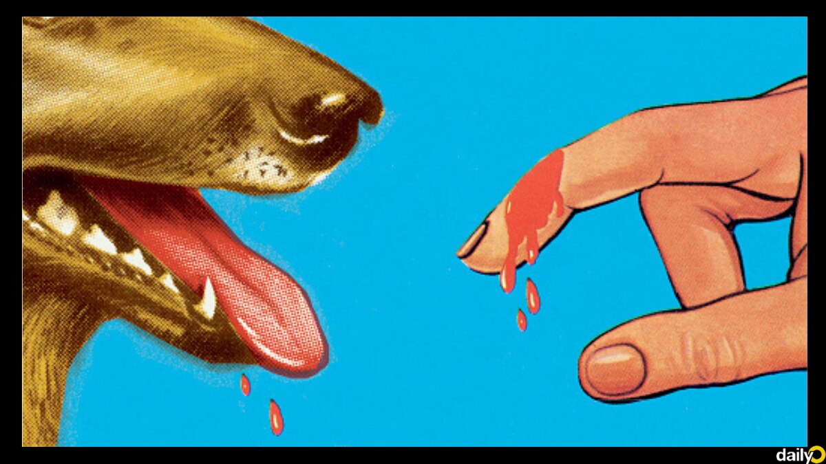 You can now receive Rs 10,000 per tooth mark for being bitten by dogs in Punjab and Haryana