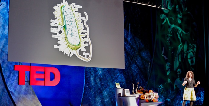 ted_121314030520.jpg