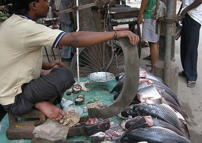 fish-seller-1_081115072816.jpg