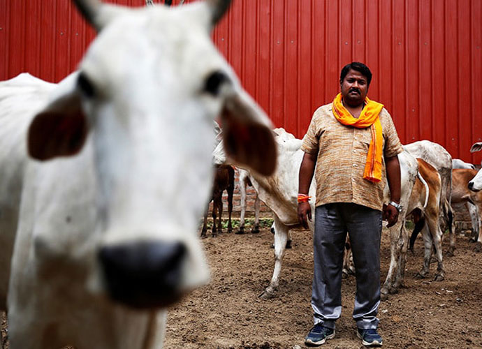 gau-embed_051817031520.jpg gau-embed_051817031520.jpg