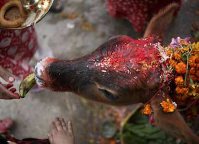 gau1_051317101254.jpg gau1_051317101254.jpg