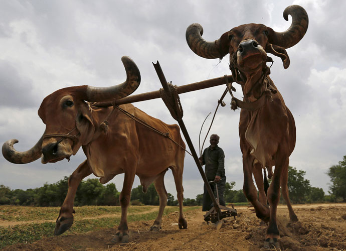 farmer1_060917104254.jpg farmer1_060917104254.jpg