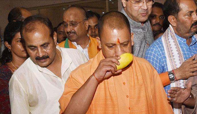 tog_062817112614.jpg tog_062817112614.jpg