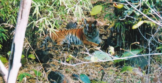 ken-betwa-copy_072917102505.jpg ken-betwa-copy_072917102505.jpg