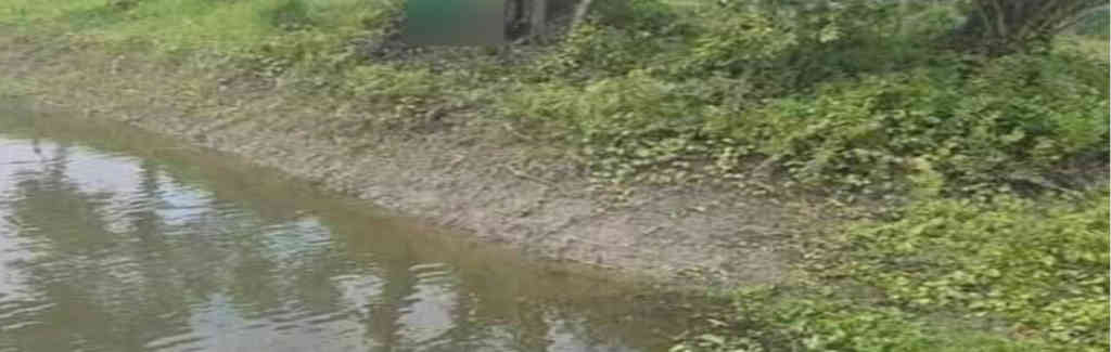 ফ্যাক্ট চেক: ভারতের বলে দাবী বাংলাদেশের নোয়াখালীর এই ঘটনাকে