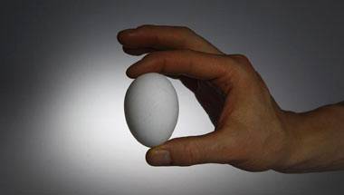 ফার্মিং, ডিম, আন্টিন্টিবায়োটিক