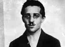 অস্ট্রো-হাঙ্গেরিয়ান, ফ্রাঞ্জ ফার্দিনান্দ, গ্যাভরিলো প্রিন্সিপ, প্রথম বিশ্বযুদ্ধ