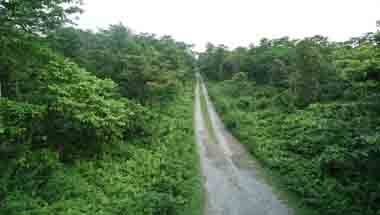 অরণ্য, ভ্রমণ, ডুয়ার্স