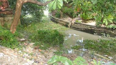 নোংরা শহর, নির্মল বাংলা, স্বচ্ছ ভারত, ভদ্রেশ্বর পুরসভা