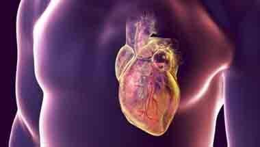 হৃদরোগ, স্বাস্থ্য ব্যবস্থা, স্বাস্থ্য পরিষেবা, হৃদরোগ বৃদ্ধি