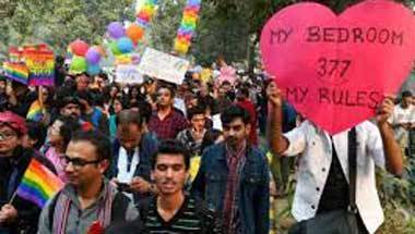 এলজিবিটি অধিকার, ৩৭৭ ধারা, সমকামি